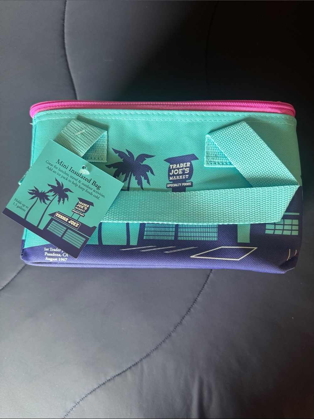 Trader Joe's Mini Insulated Bag- lunchbox - Teal & Purple with Pink Trim